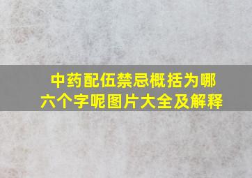 中药配伍禁忌概括为哪六个字呢图片大全及解释