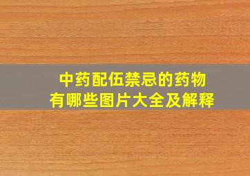 中药配伍禁忌的药物有哪些图片大全及解释