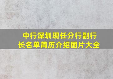 中行深圳现任分行副行长名单简历介绍图片大全