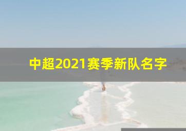 中超2021赛季新队名字