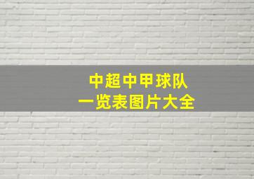 中超中甲球队一览表图片大全