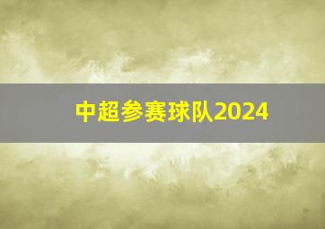 中超参赛球队2024