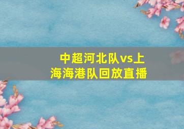 中超河北队vs上海海港队回放直播