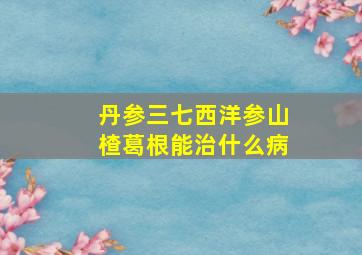 丹参三七西洋参山楂葛根能治什么病