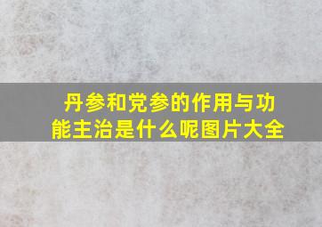 丹参和党参的作用与功能主治是什么呢图片大全