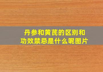 丹参和黄芪的区别和功效禁忌是什么呢图片