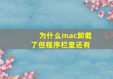 为什么mac卸载了但程序栏里还有