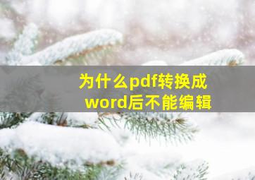 为什么pdf转换成word后不能编辑