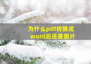 为什么pdf转换成word后还是图片