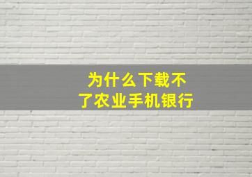 为什么下载不了农业手机银行