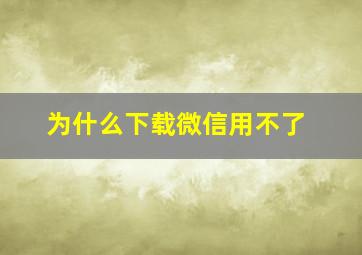 为什么下载微信用不了