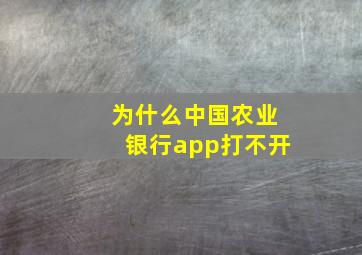 为什么中国农业银行app打不开