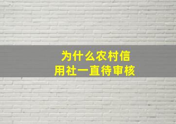 为什么农村信用社一直待审核