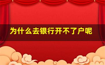 为什么去银行开不了户呢