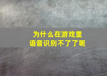 为什么在游戏里语音识别不了了呢