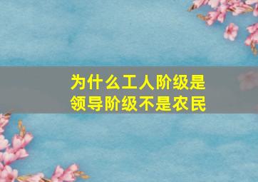 为什么工人阶级是领导阶级不是农民