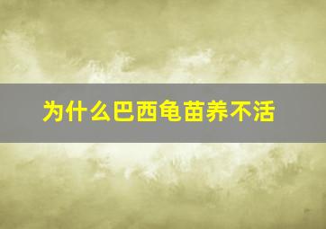 为什么巴西龟苗养不活