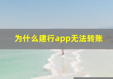 为什么建行app无法转账