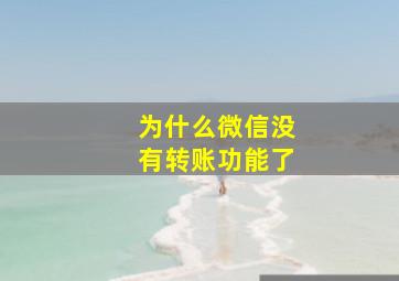 为什么微信没有转账功能了