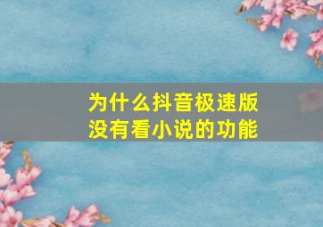 为什么抖音极速版没有看小说的功能