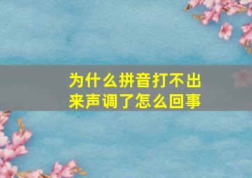 为什么拼音打不出来声调了怎么回事