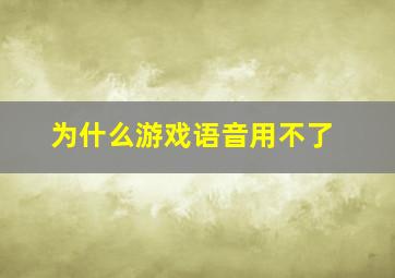 为什么游戏语音用不了