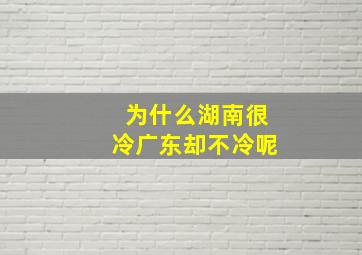 为什么湖南很冷广东却不冷呢