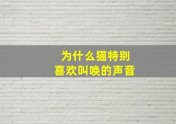 为什么猫特别喜欢叫唤的声音