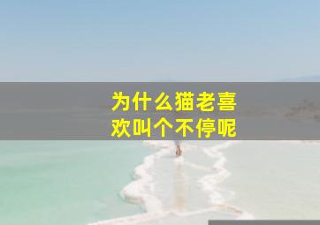 为什么猫老喜欢叫个不停呢