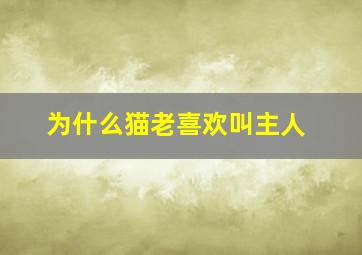 为什么猫老喜欢叫主人