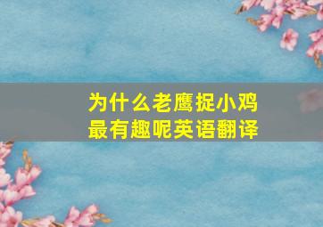 为什么老鹰捉小鸡最有趣呢英语翻译