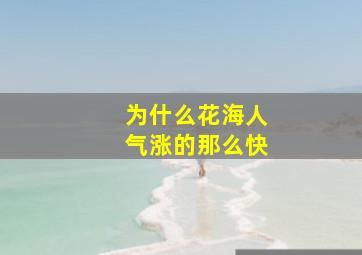 为什么花海人气涨的那么快