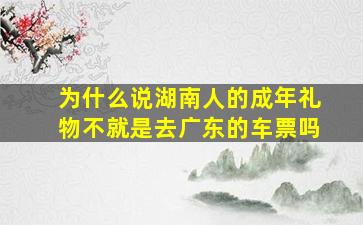 为什么说湖南人的成年礼物不就是去广东的车票吗