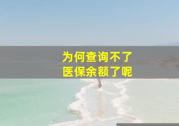 为何查询不了医保余额了呢