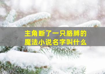 主角断了一只胳膊的魔法小说名字叫什么