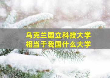 乌克兰国立科技大学相当于我国什么大学