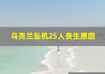 乌克兰坠机25人丧生原因