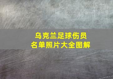 乌克兰足球伤员名单照片大全图解