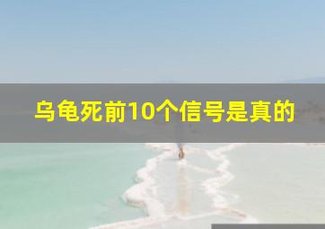 乌龟死前10个信号是真的