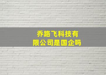 乔路飞科技有限公司是国企吗