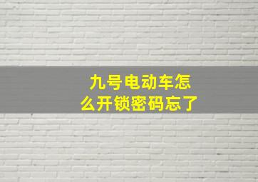 九号电动车怎么开锁密码忘了