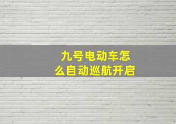 九号电动车怎么自动巡航开启