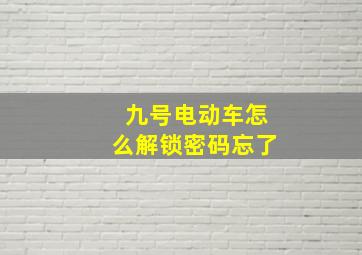 九号电动车怎么解锁密码忘了