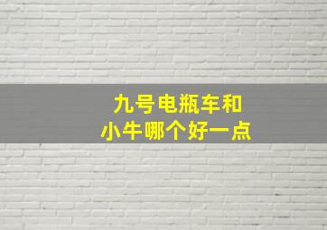 九号电瓶车和小牛哪个好一点