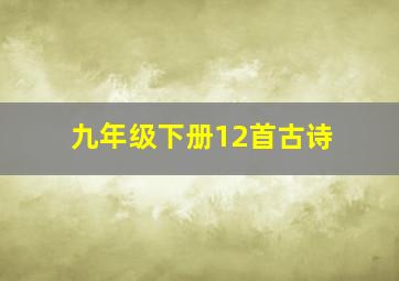 九年级下册12首古诗