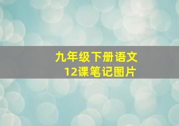 九年级下册语文12课笔记图片