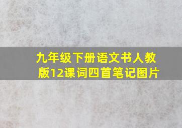 九年级下册语文书人教版12课词四首笔记图片