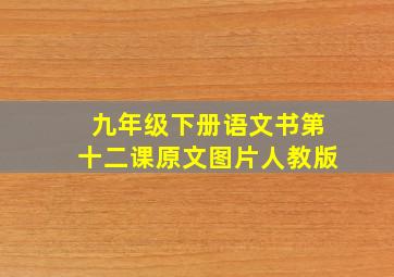 九年级下册语文书第十二课原文图片人教版