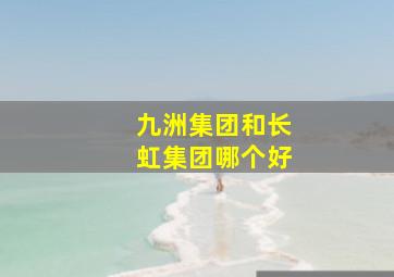 九洲集团和长虹集团哪个好