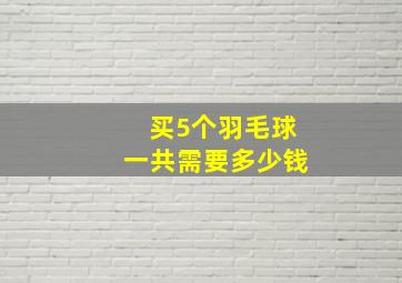 买5个羽毛球一共需要多少钱